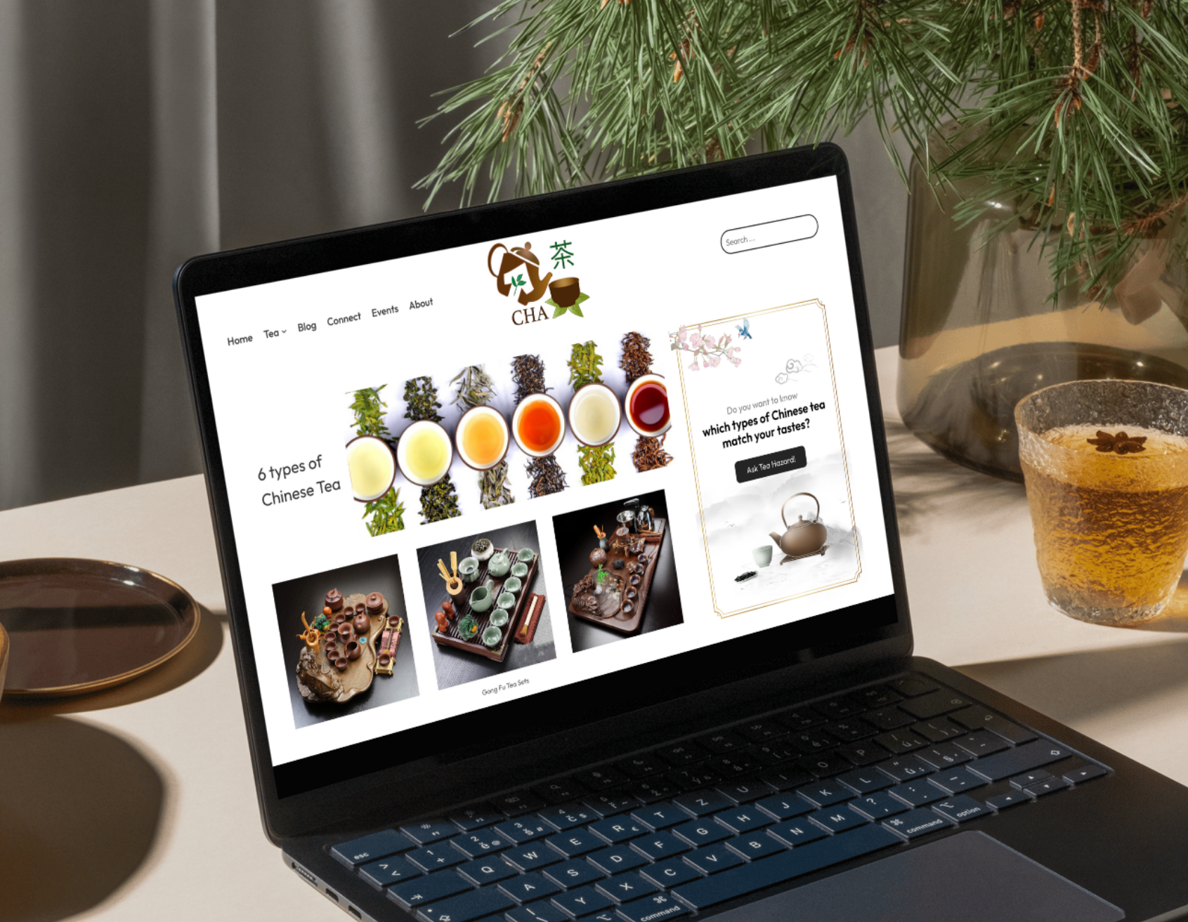 Website Design